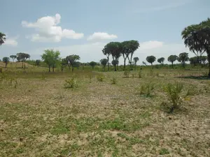 20-Acre Plot in Kidimu, Kwale County