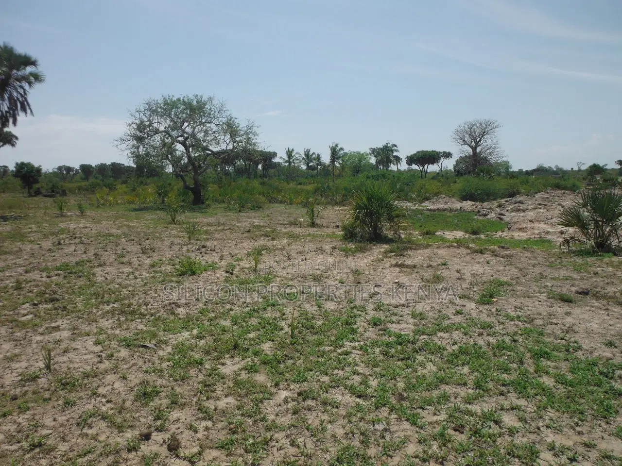 20-Acre Plot in Kidimu, Kwale County
