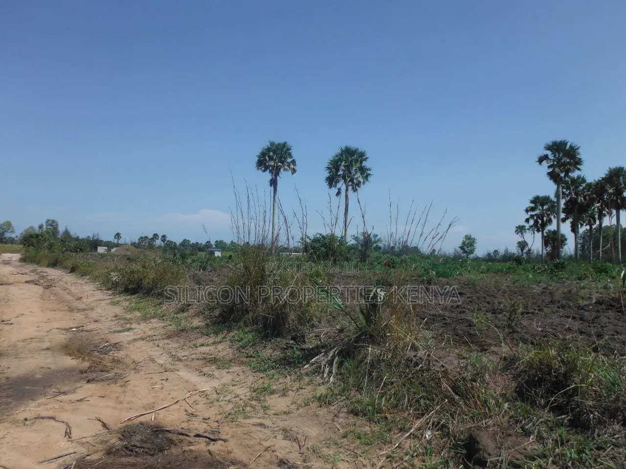 20-Acre Plot in Kidimu, Kwale County