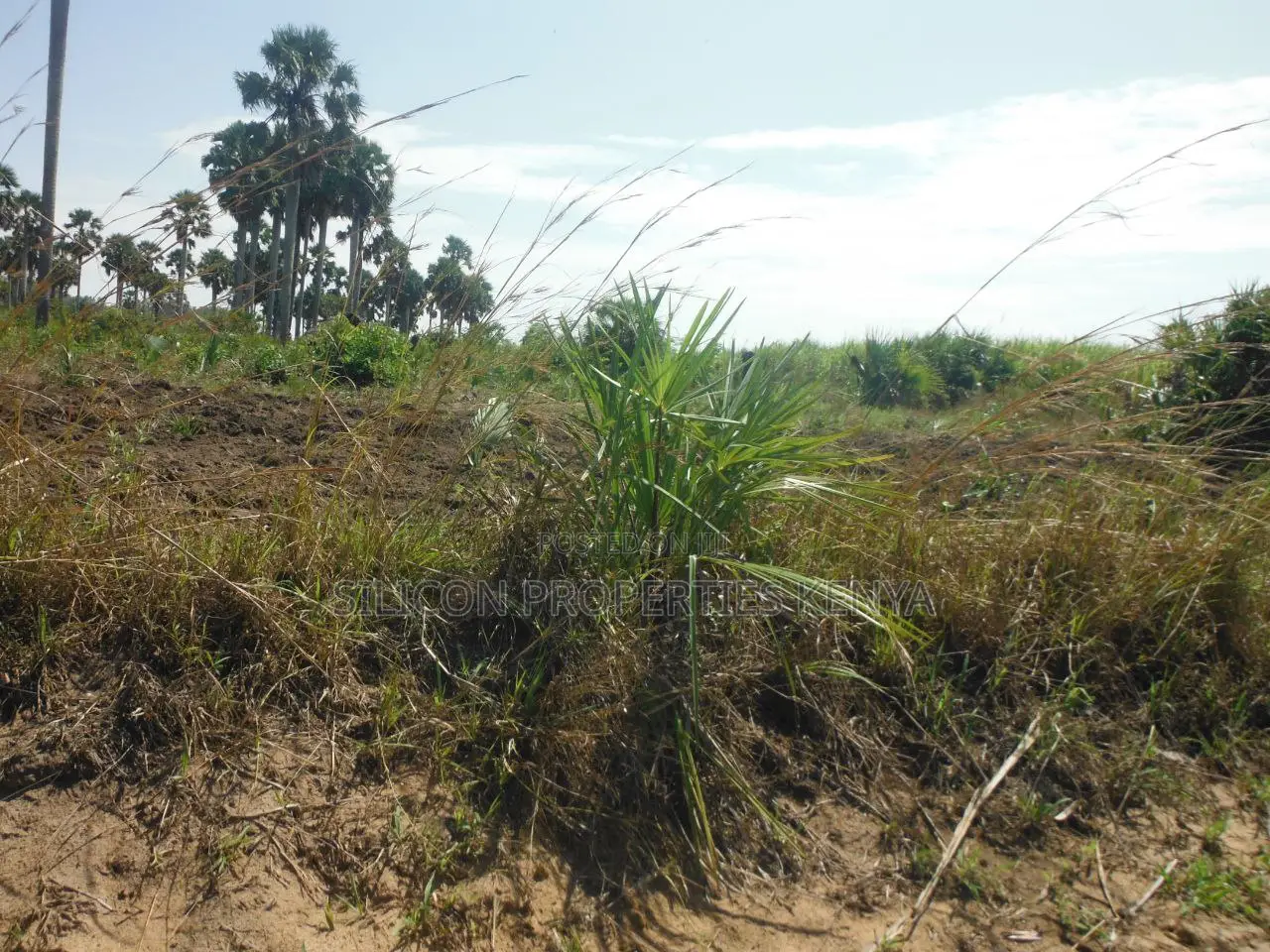 20-Acre Plot in Kidimu, Kwale County