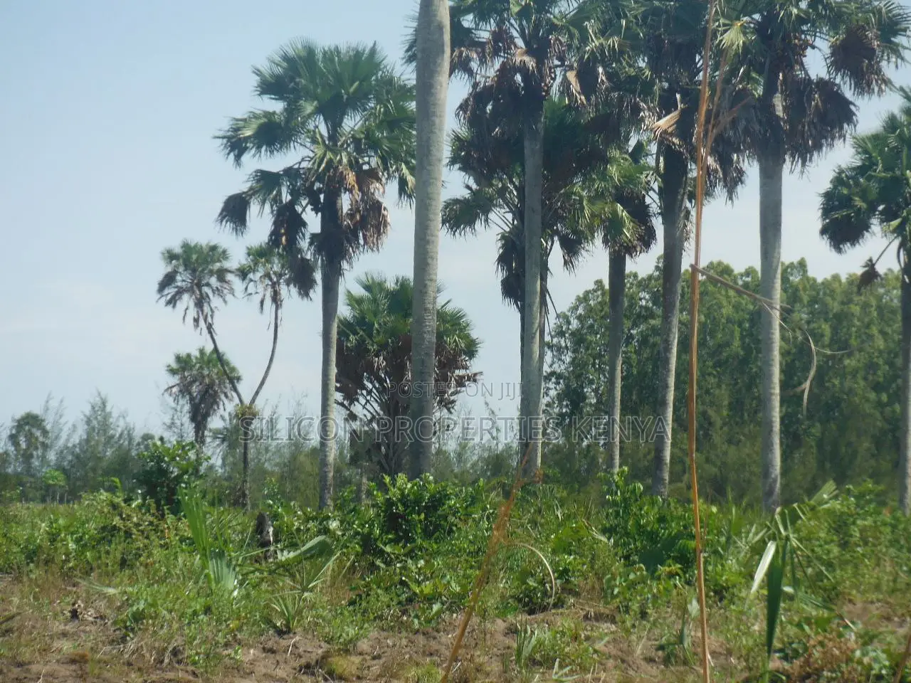 20-Acre Plot in Kidimu, Kwale County