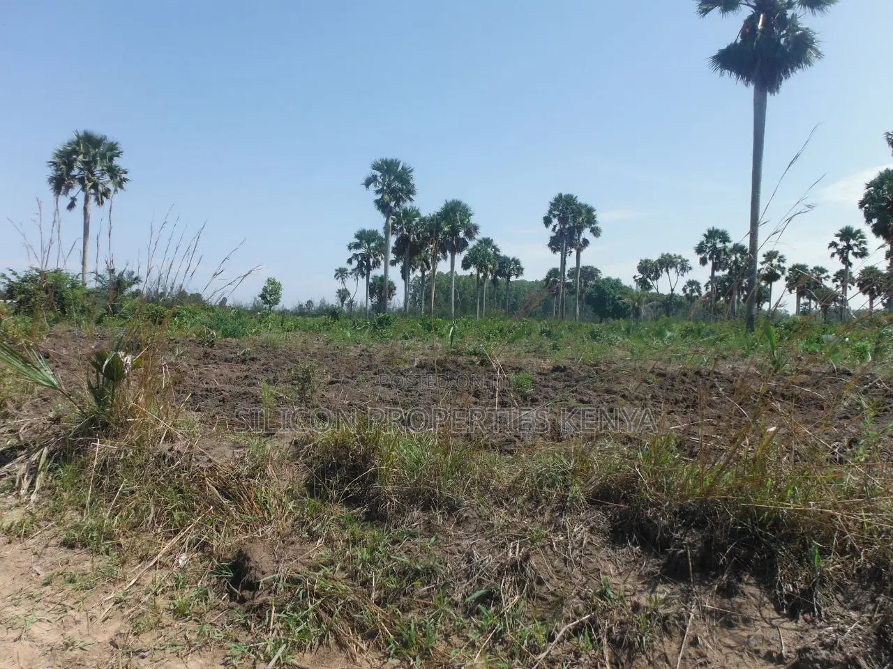 20-Acre Plot in Kidimu, Kwale County