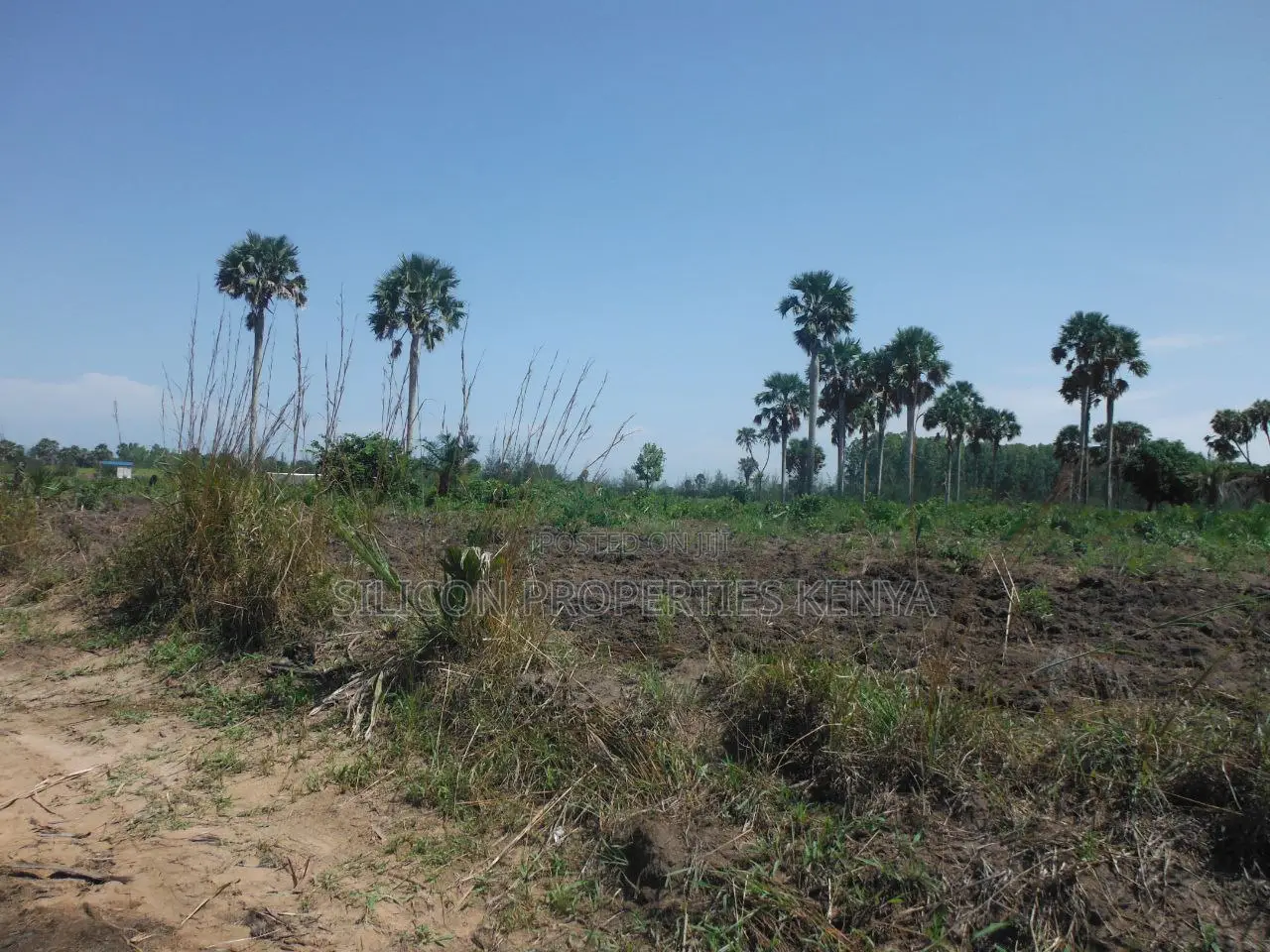 20-Acre Plot in Kidimu, Kwale County