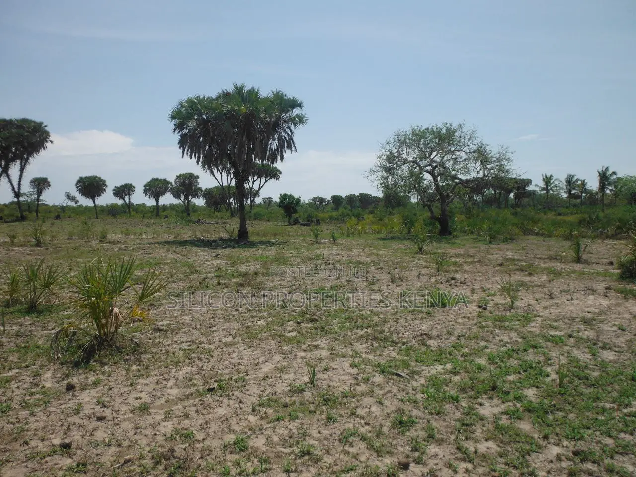 20-Acre Plot in Kidimu, Kwale County