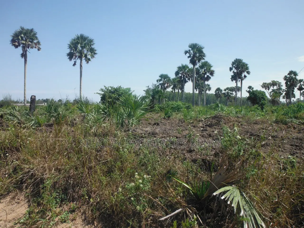 20-Acre Plot in Kidimu, Kwale County