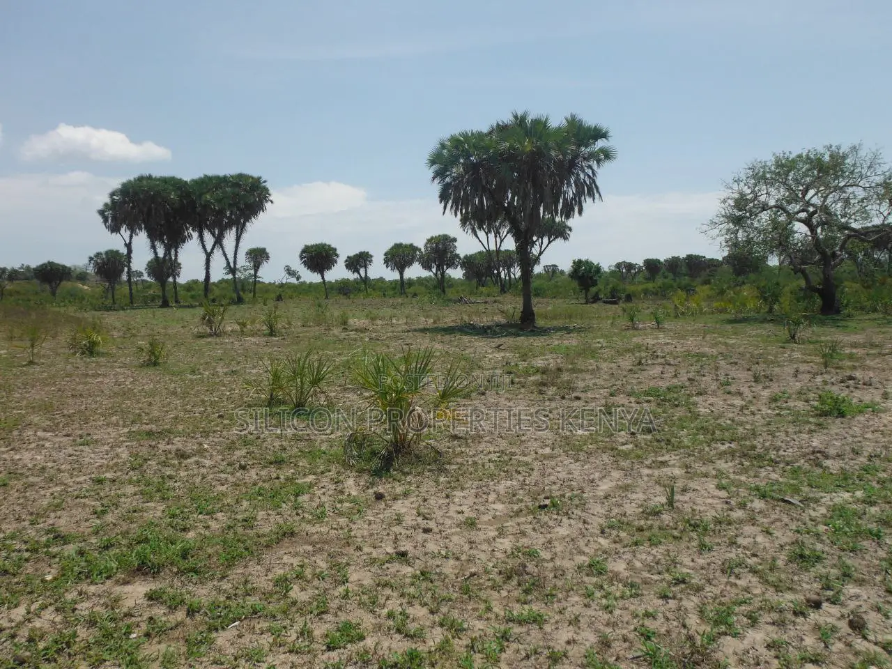 20-Acre Plot in Kidimu, Kwale County