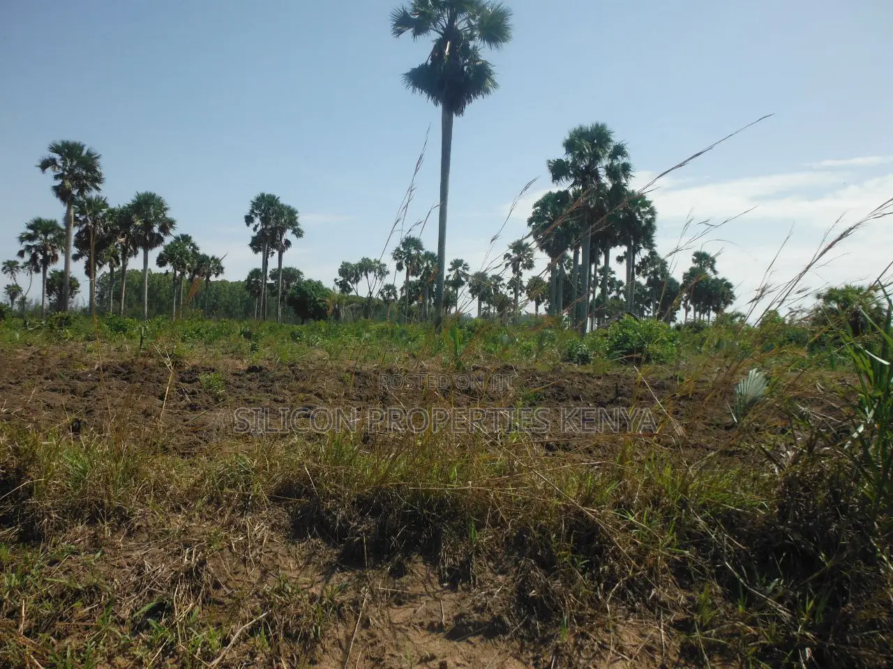20-Acre Plot in Kidimu, Kwale County