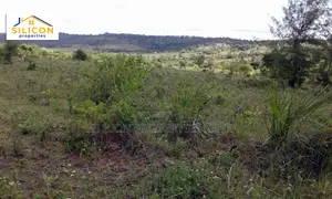 20-Acre Plot in Shimba Hills, Kwale County