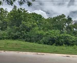 3.25 Acres for Sale in Diani - Touching the Main Road