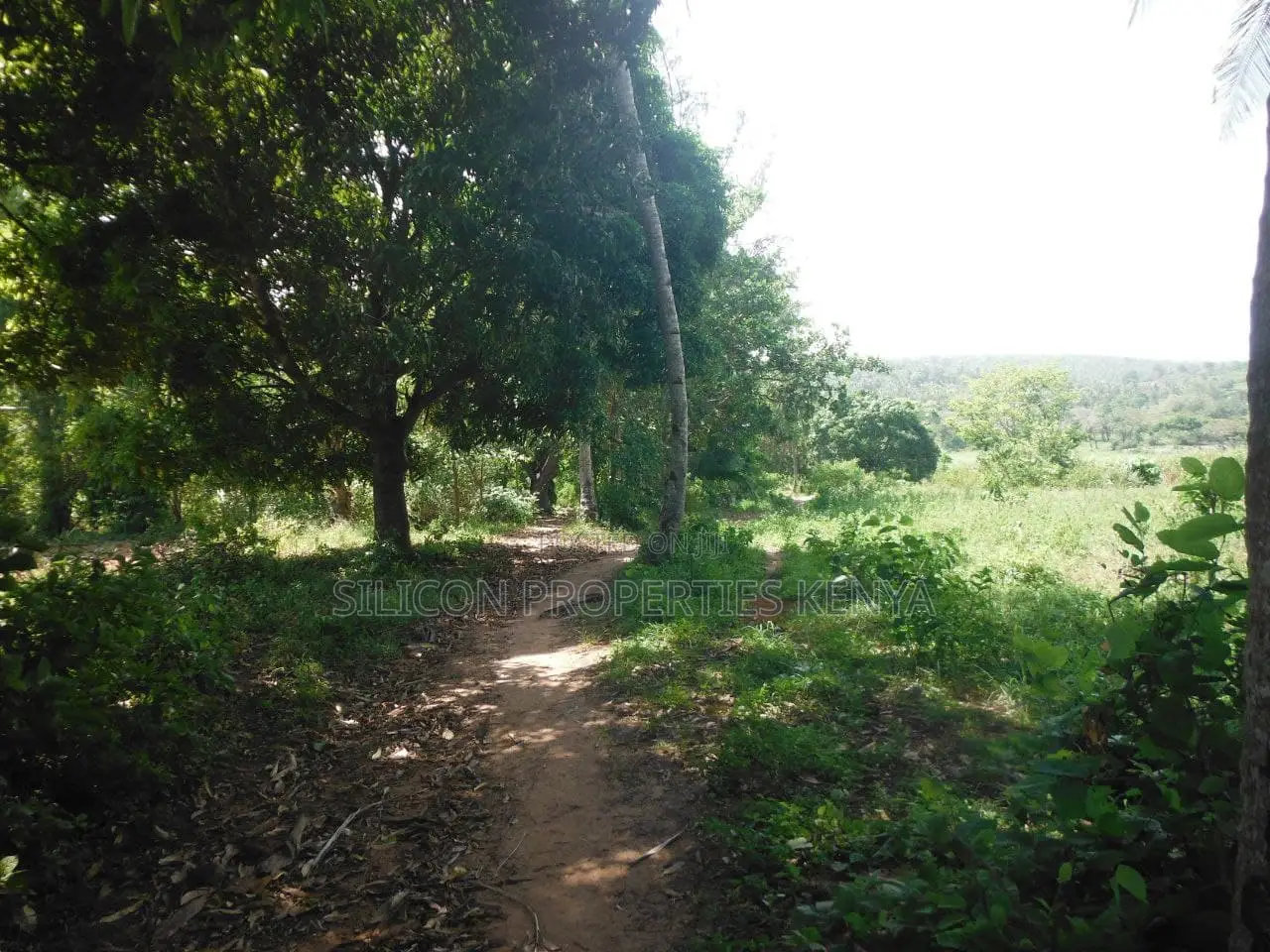 4-Acre Plot in Msambweni Just a 10-Minute Walk From the Ocean