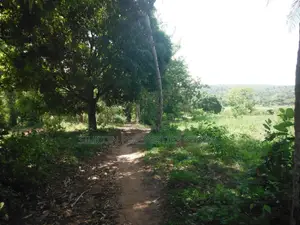 4-Acre Plot in Msambweni Just a 10-Minute Walk From the Ocean