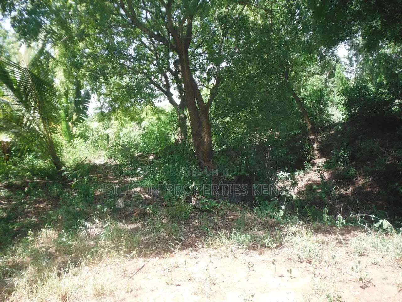 4-Acre Plot in Msambweni Just a 10-Minute Walk From the Ocean