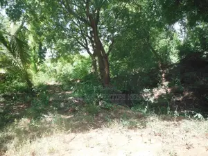 4-Acre Plot in Msambweni Just a 10-Minute Walk From the Ocean