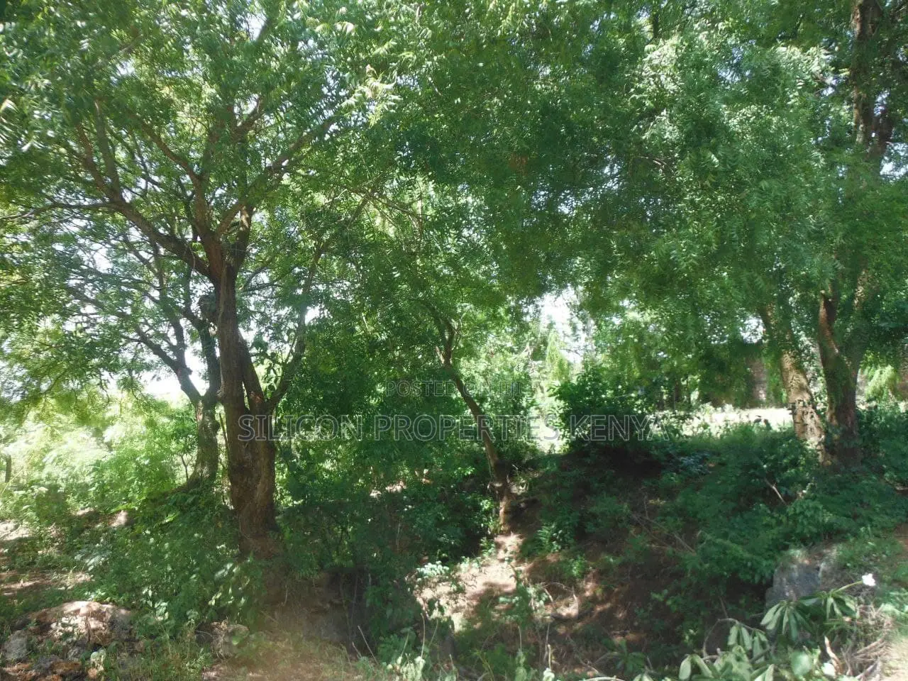4-Acre Plot in Msambweni Just a 10-Minute Walk From the Ocean