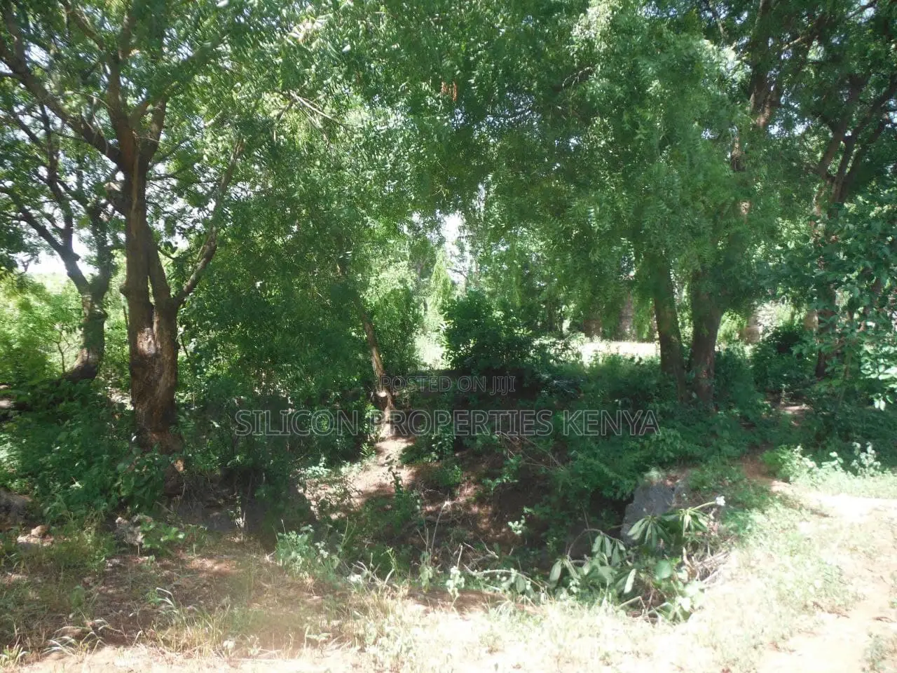 4-Acre Plot in Msambweni Just a 10-Minute Walk From the Ocean