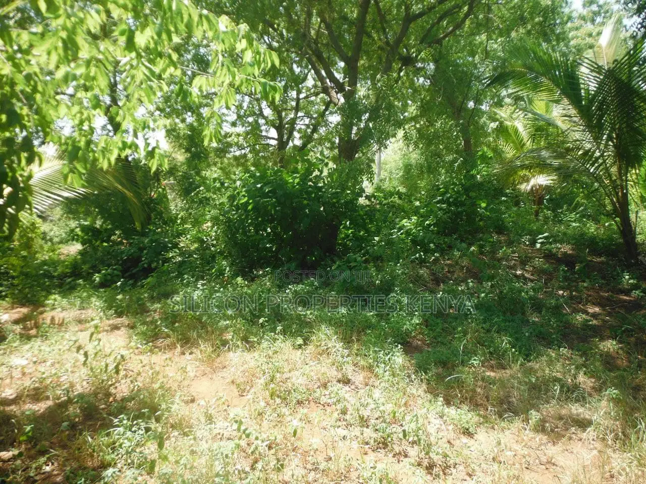 4-Acre Plot in Msambweni Just a 10-Minute Walk From the Ocean