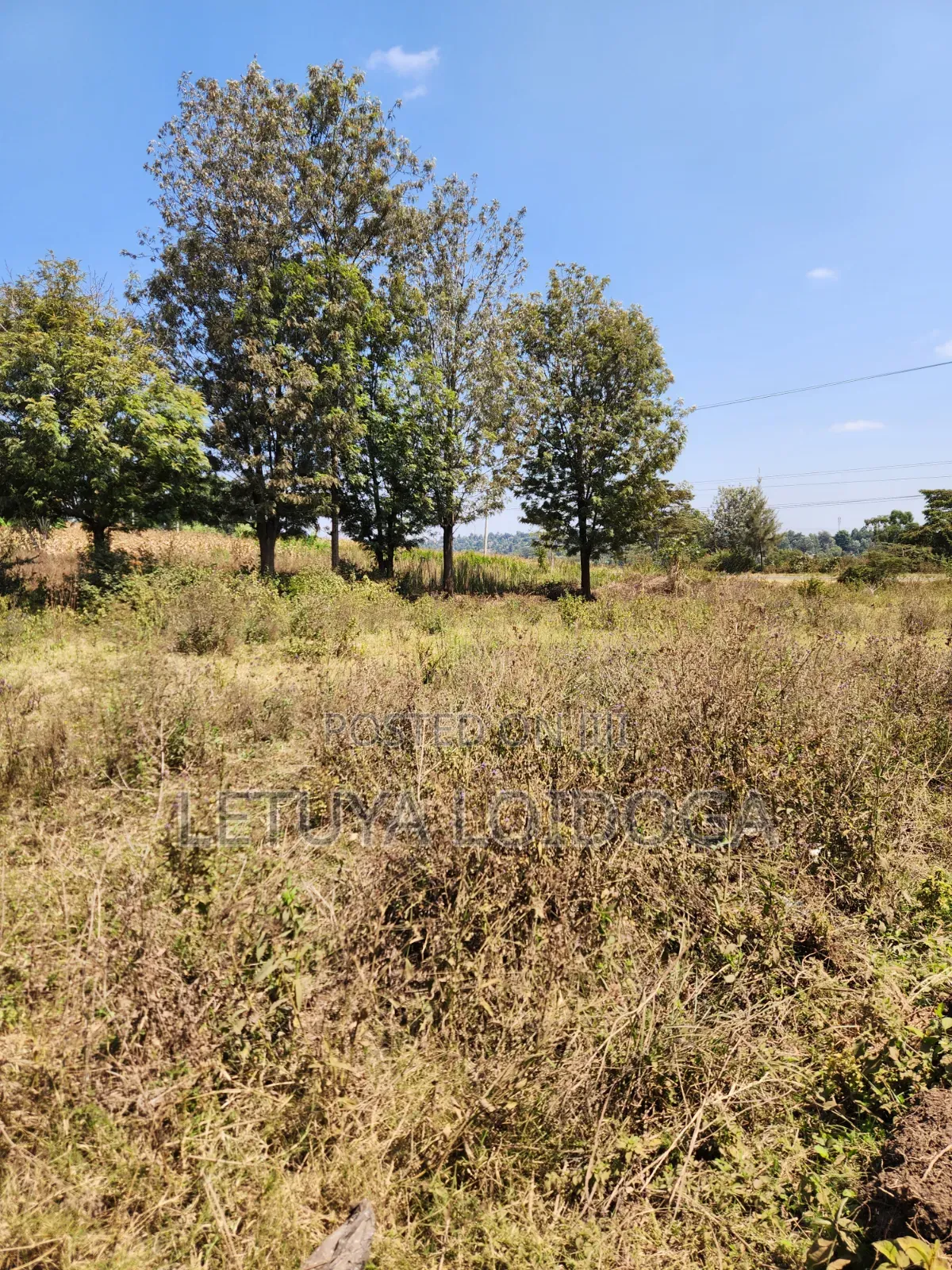 9 Acres Prime Land Ngong-Olkeri