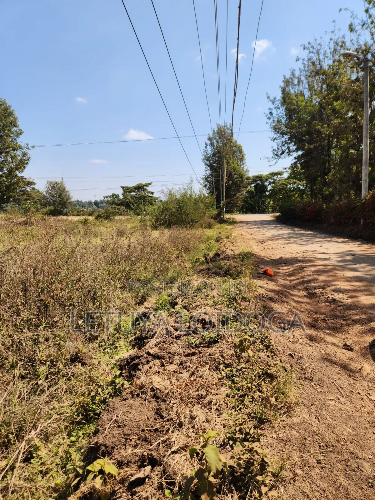 9 Acres Prime Land Ngong-Olkeri