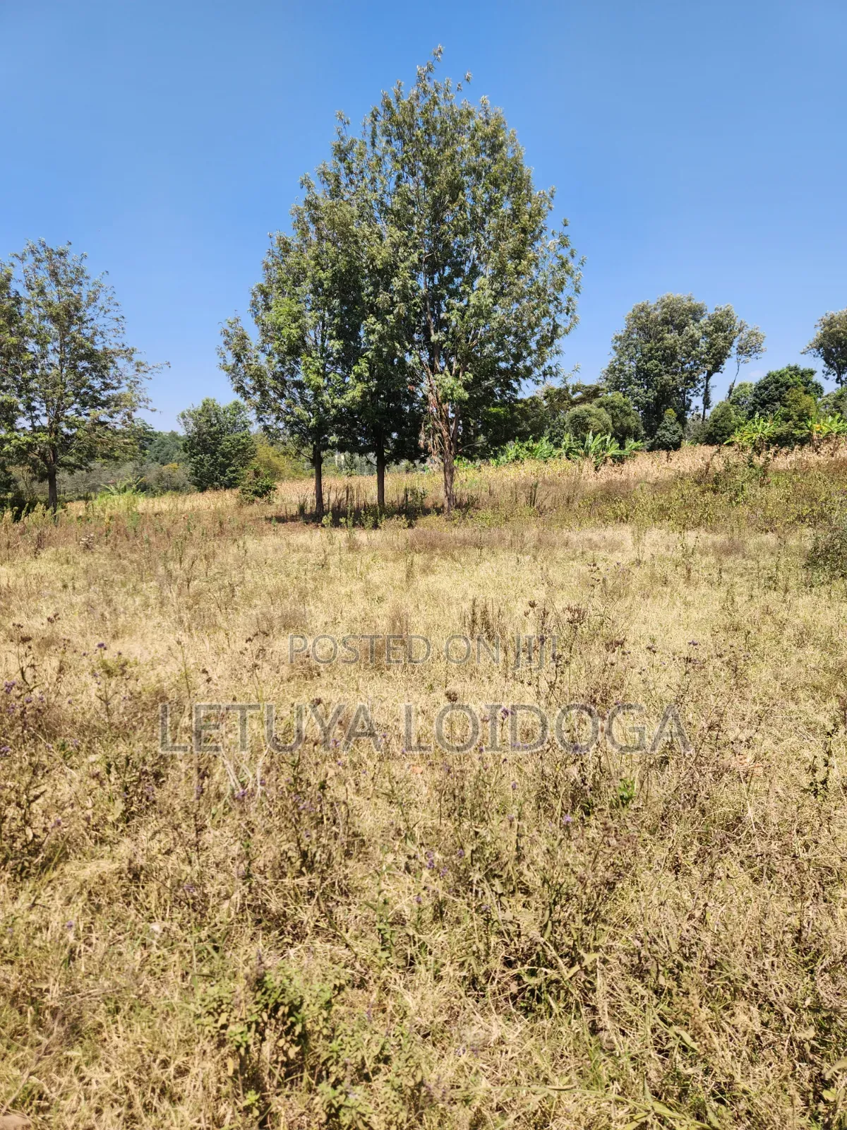 9 Acres Prime Land Ngong-Olkeri