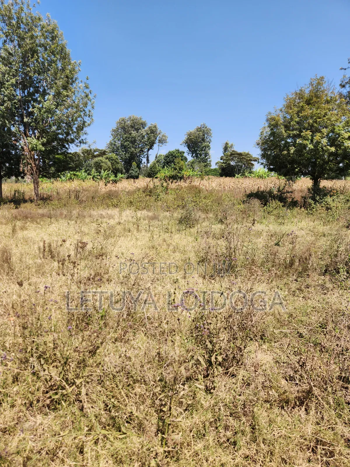 9 Acres Prime Land Ngong-Olkeri