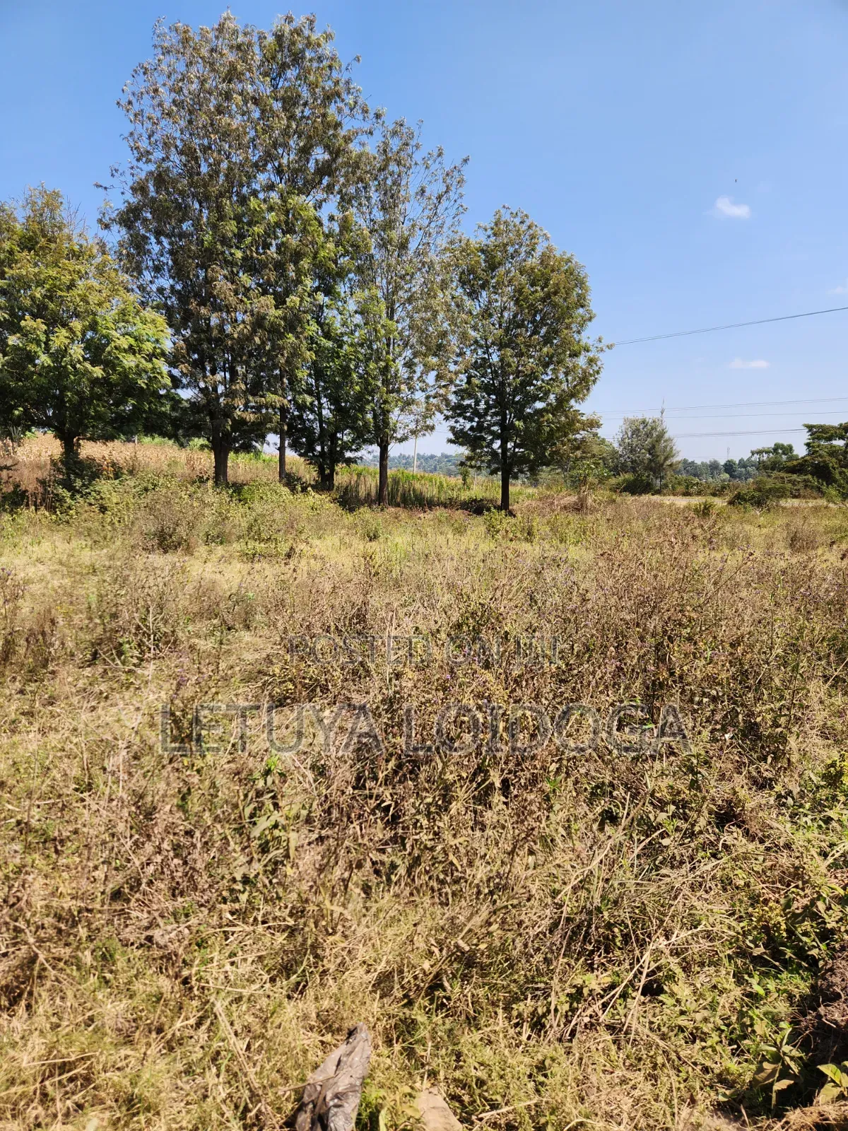 9 Acres Prime Land Ngong-Olkeri