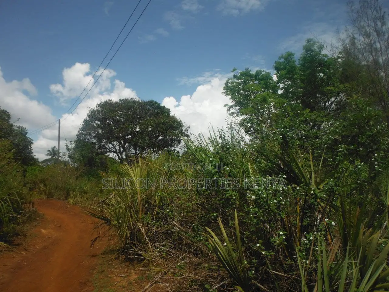 3.5-Acre Plot in Msambweni