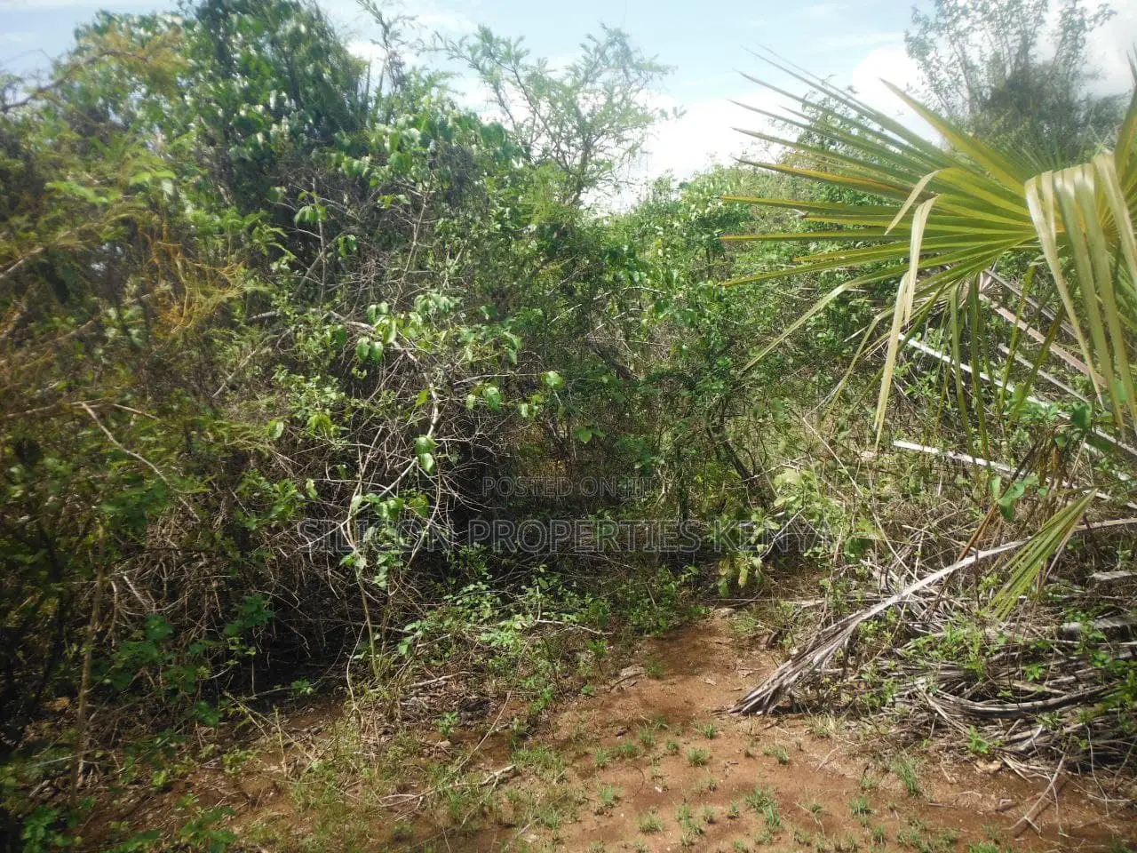 3.5-Acre Plot in Msambweni