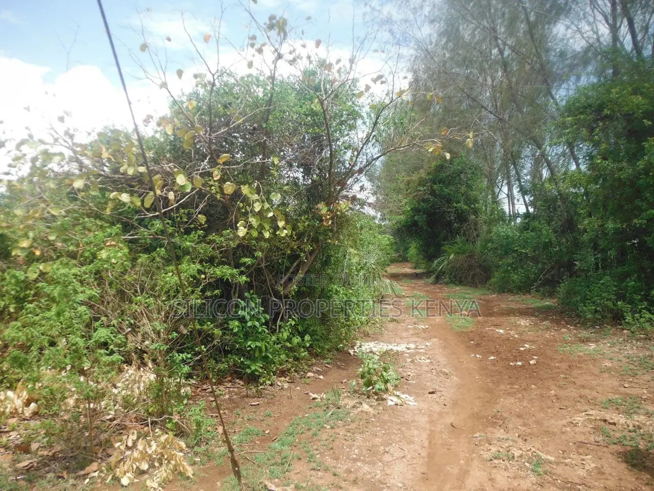 3.5-Acre Plot in Msambweni