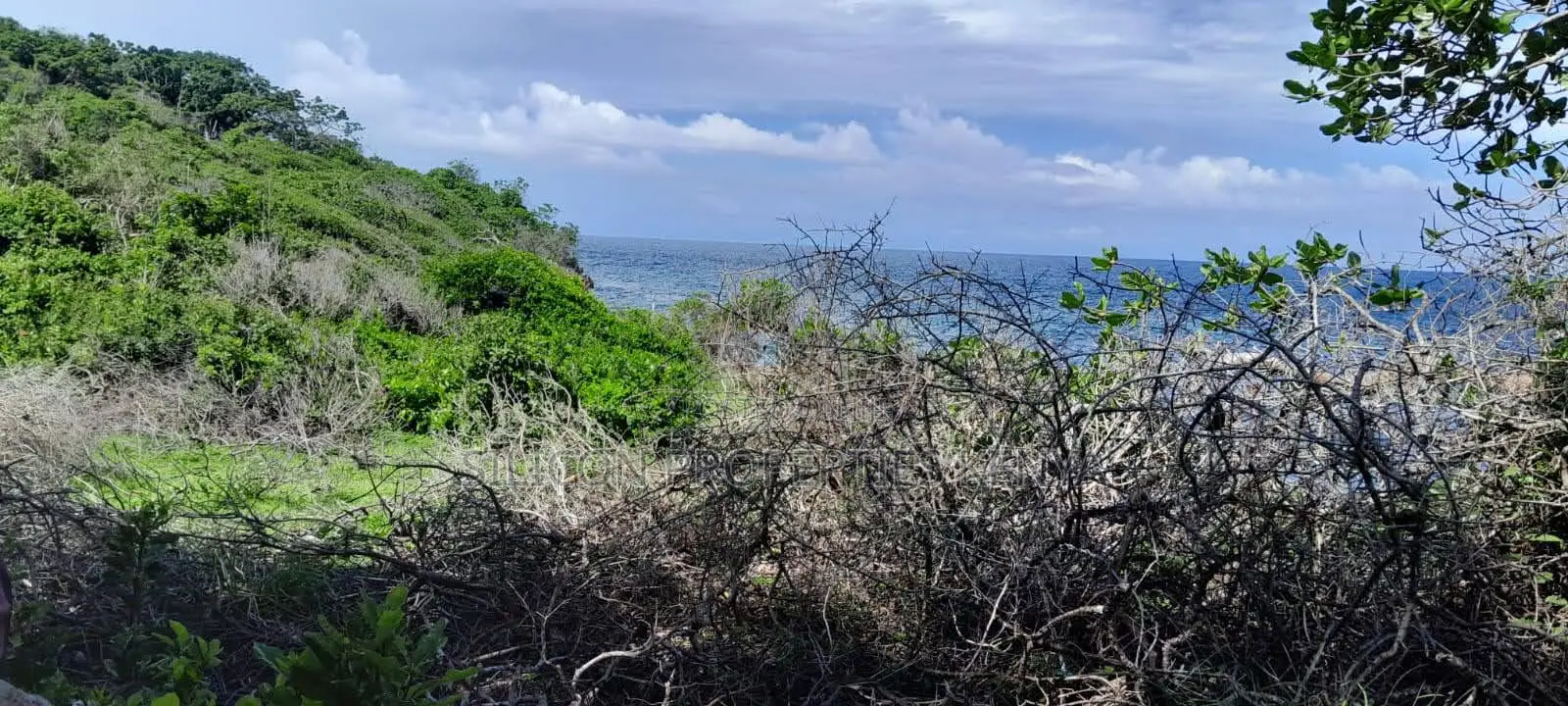 Beachfront Plots for Sale in Shimoni – KES 13M Per Acre