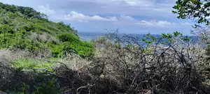 Beachfront Plots for Sale in Shimoni – KES 13M Per Acre