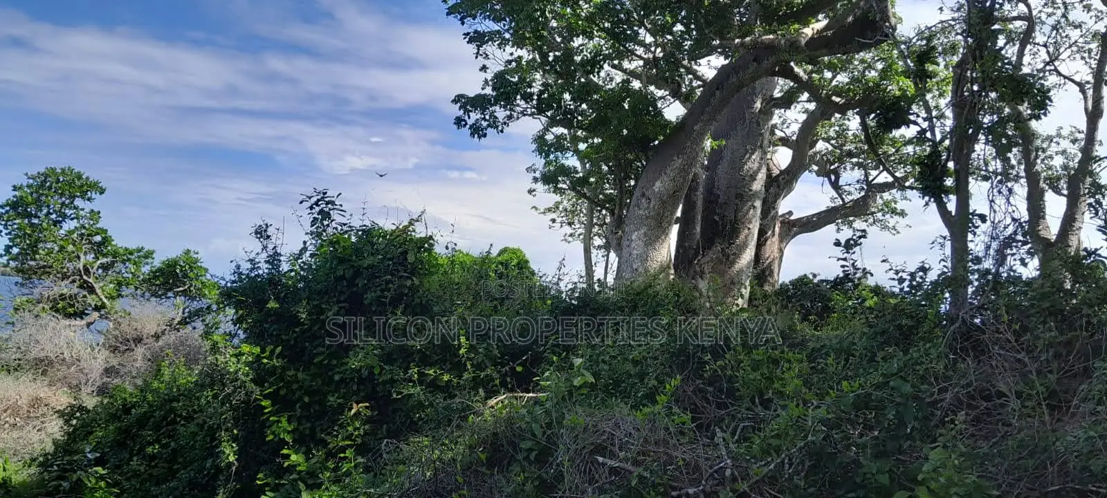 Beachfront Plots for Sale in Shimoni – KES 13M Per Acre