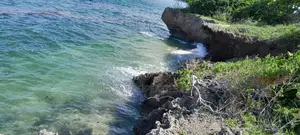 Beachfront Plots for Sale in Shimoni – KES 13M Per Acre