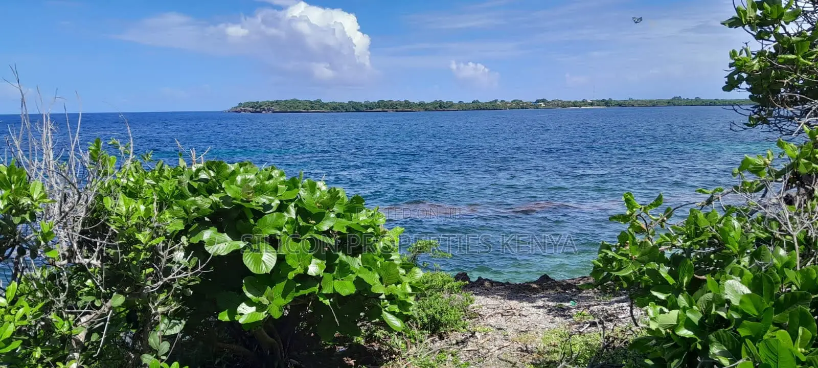 Beachfront Plots for Sale in Shimoni – KES 13M Per Acre