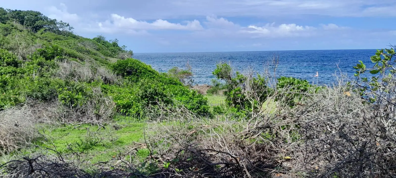 Beachfront Plots for Sale in Shimoni – KES 13M Per Acre