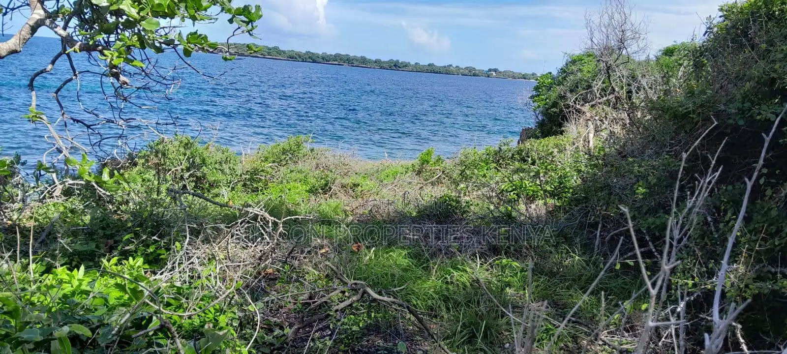 Beachfront Plots for Sale in Shimoni – KES 13M Per Acre