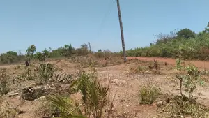 0.25-Acre Plot in Galu