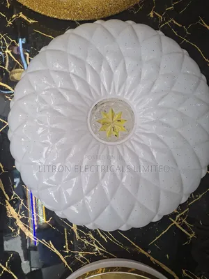 Ceiling Light Led