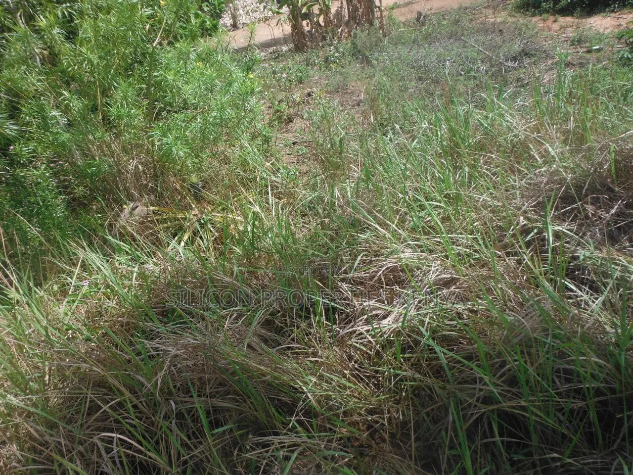 0.25-Acre Plot in Mvindeni