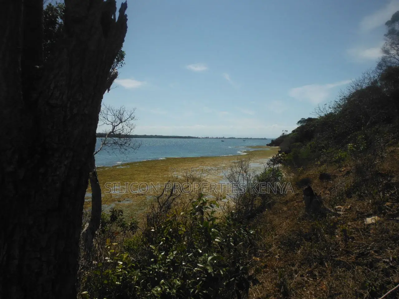 Stunning Coral Land in Shimoni