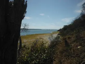 Stunning Coral Land in Shimoni