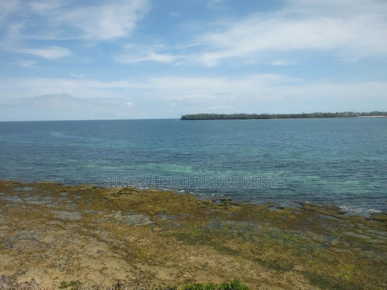 Stunning Coral Land in Shimoni
