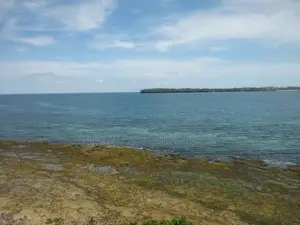 Stunning Coral Land in Shimoni
