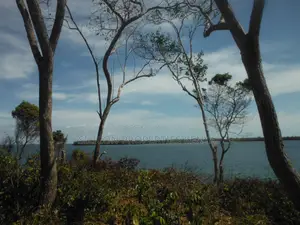 Stunning Coral Land in Shimoni