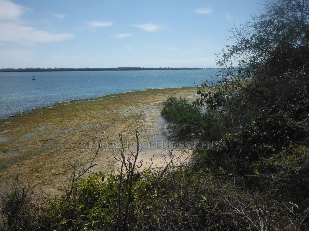 Stunning Coral Land in Shimoni