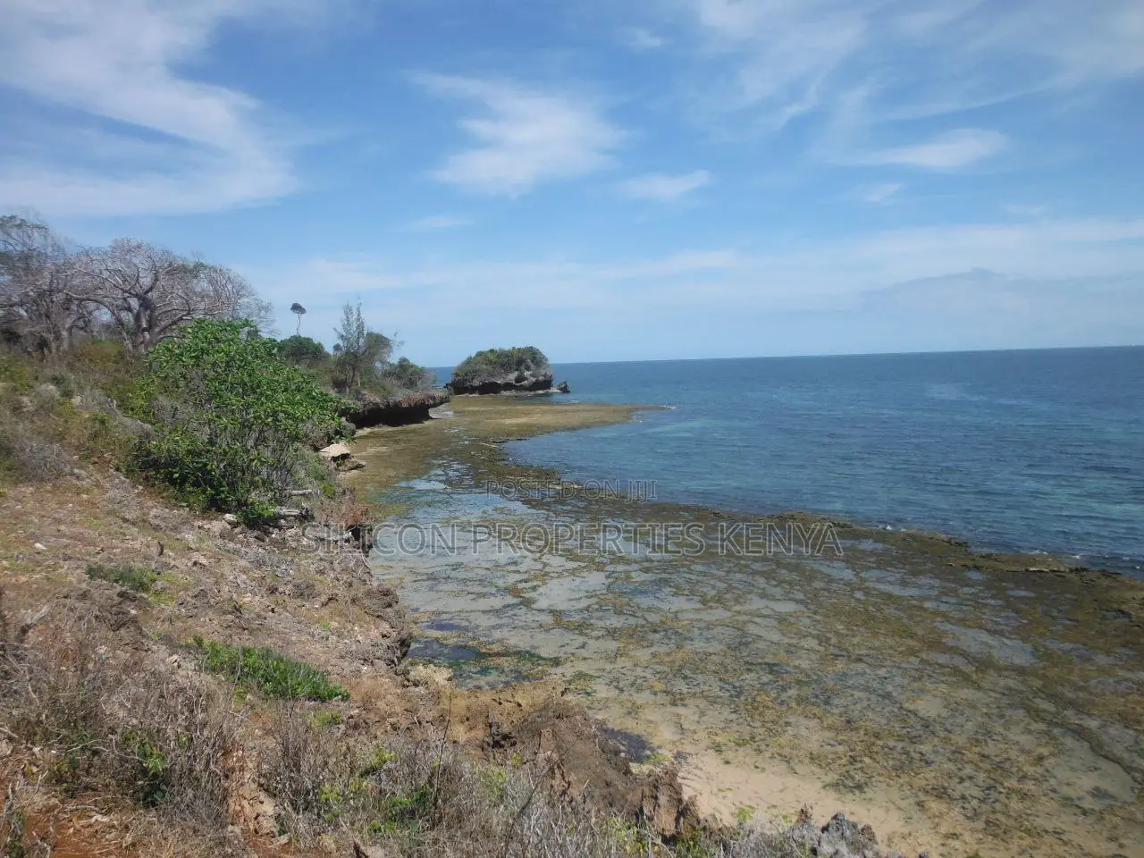 Stunning Coral Land in Shimoni