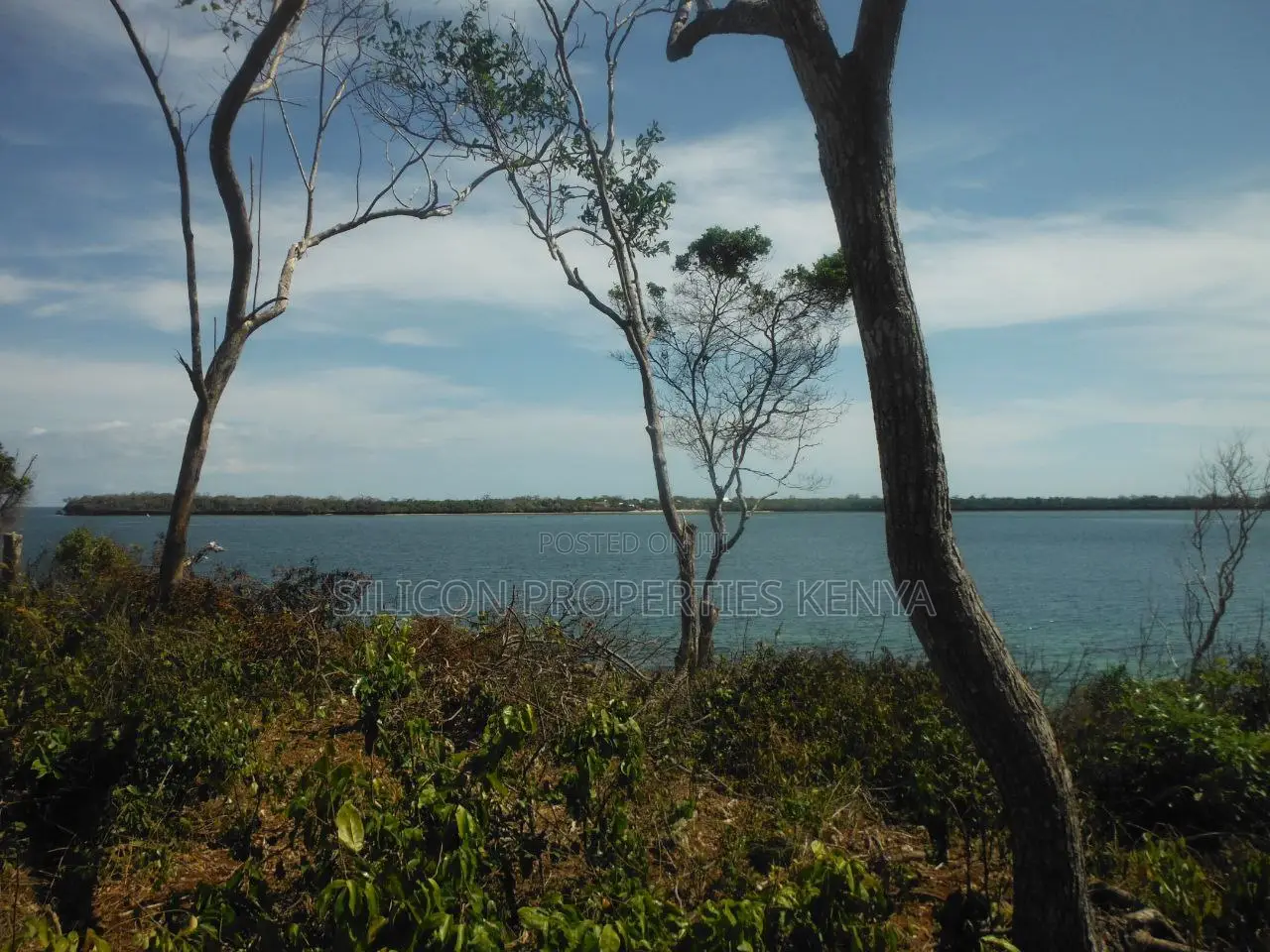 Stunning Coral Land in Shimoni
