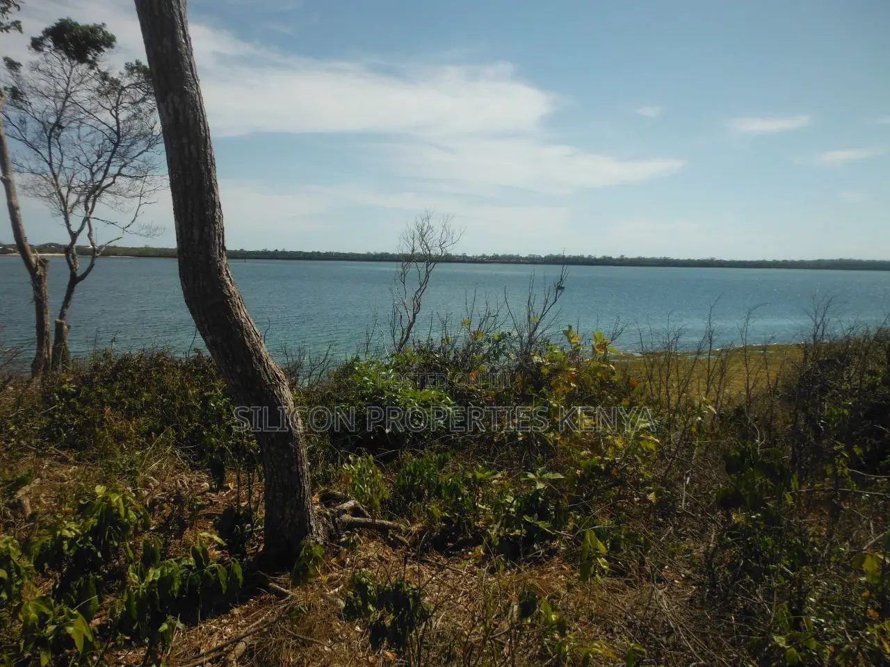 Stunning Coral Land in Shimoni