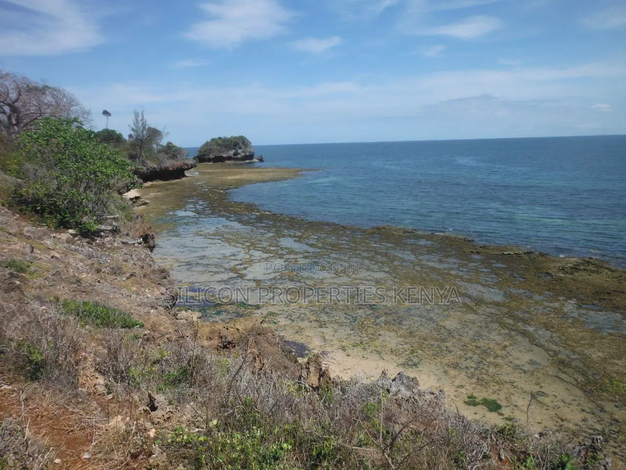 Stunning Coral Land in Shimoni