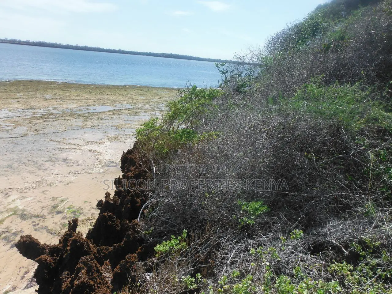 Stunning Coral Land in Shimoni