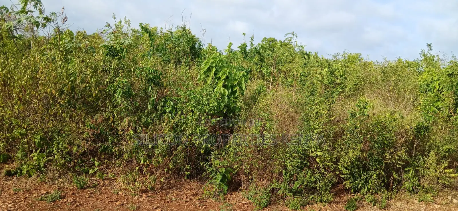 Quarter-Acre Plot for Sale in Galu Kinondo –